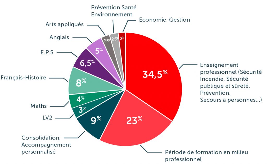 BAC Pro Métiers de la Sécurité - Saint Gab'