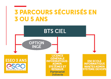 Visuel web