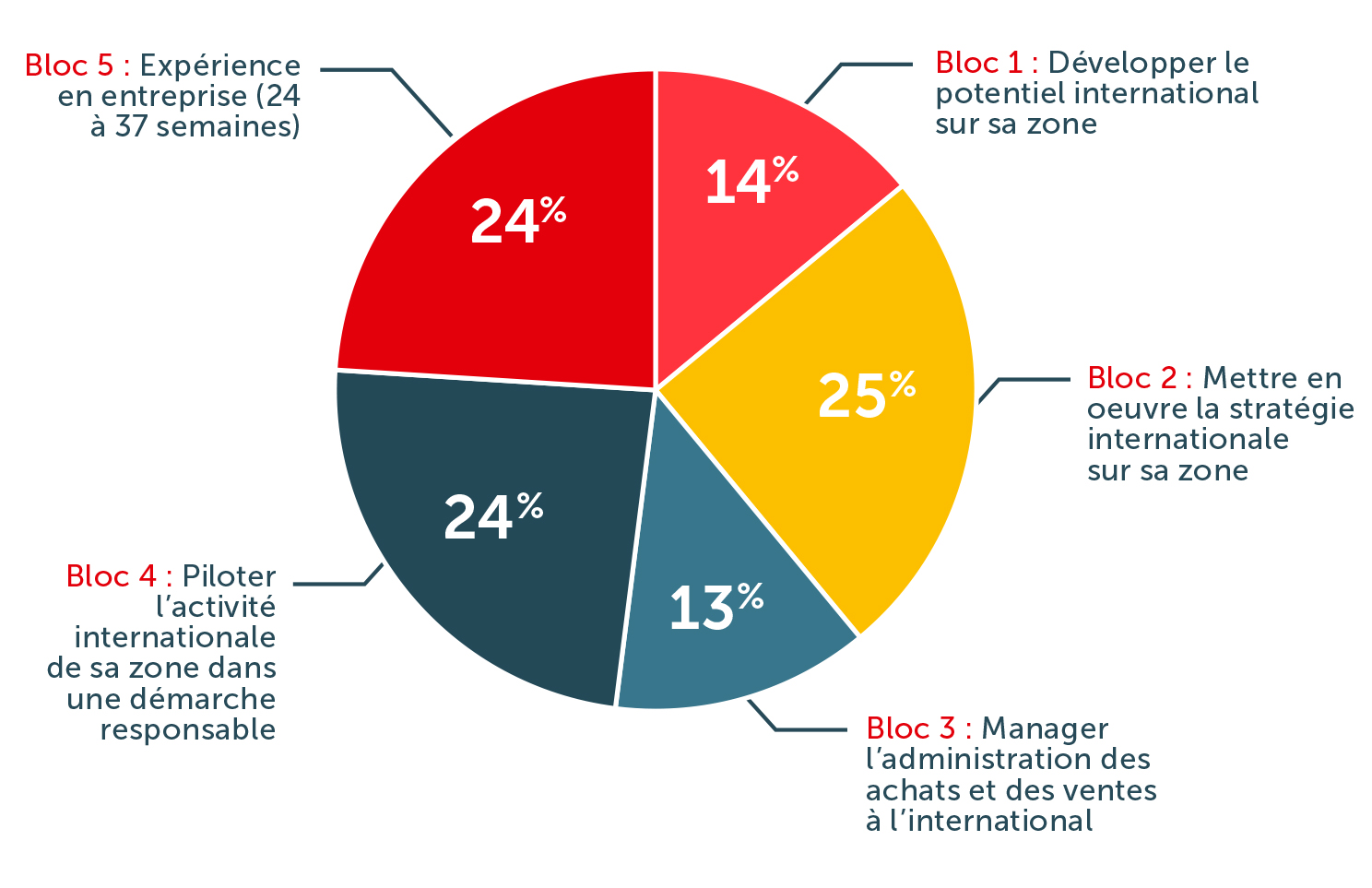 camembert Bachelor RZIE