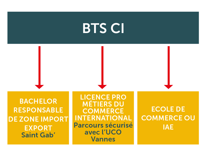 schema parcours bts ci v4