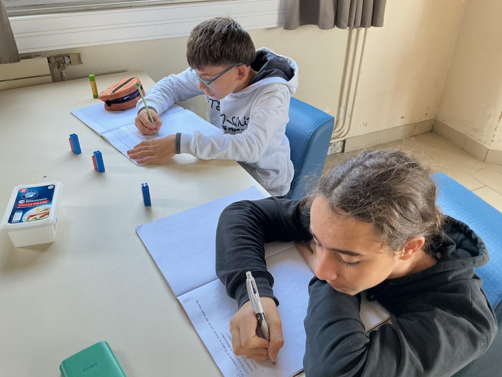 3eme Prepa metiers 24-25 (2)